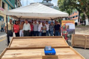Lee más sobre el artículo A través de Alianzas Productivas, Fresno potencia la producción de cacao