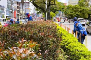 Lee más sobre el artículo Inició proceso para proteger los separadores de la carrera Quinta por fiestas del folclor