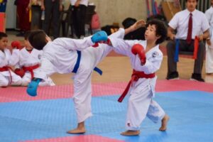 Lee más sobre el artículo Con éxito se desarrolló en Ibagué el Campeonato Departamental de Karate
