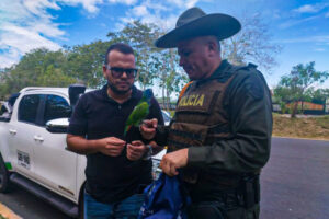 Lee más sobre el artículo Policía Metropolitana de Ibagué intensifica acciones contra el tráfico ilegal de fauna y flora