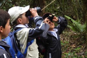 Lee más sobre el artículo Más de 700 niños del Tolima participarán en avistamientos de aves con la Expedición Arcoíris 