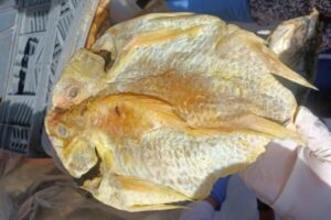 Lee más sobre el artículo Secretaría de Salud de Ibagué cerró seis establecimientos por tener alimentos en mal estado 
