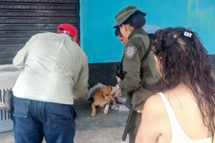 Lee más sobre el artículo Policías rescataron a ‘Mono’, un perro de raza criolla que fue atropellado en Ibagué