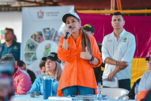 Lee más sobre el artículo Gobernadora del Tolima denuncia presencia de cerca de 300 disidentes de las FARC en Ataco