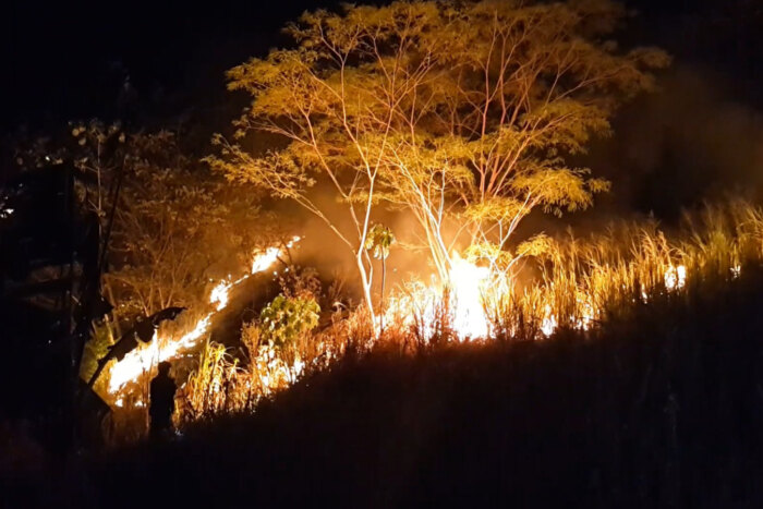Lee más sobre el artículo El 90% de los municipios del Tolima está en alerta por amenaza de incendios de cobertura vegetal