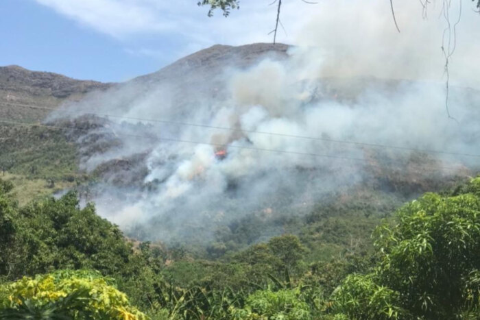 Lee más sobre el artículo Incendio ha consumido cerca de 50 hectáreas de vegetación en el municipio de Coello