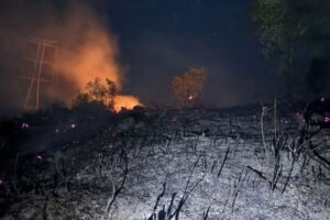 Lee más sobre el artículo Bomberos controlaron incendio forestal en El Totumo, zona rural de Ibagué 