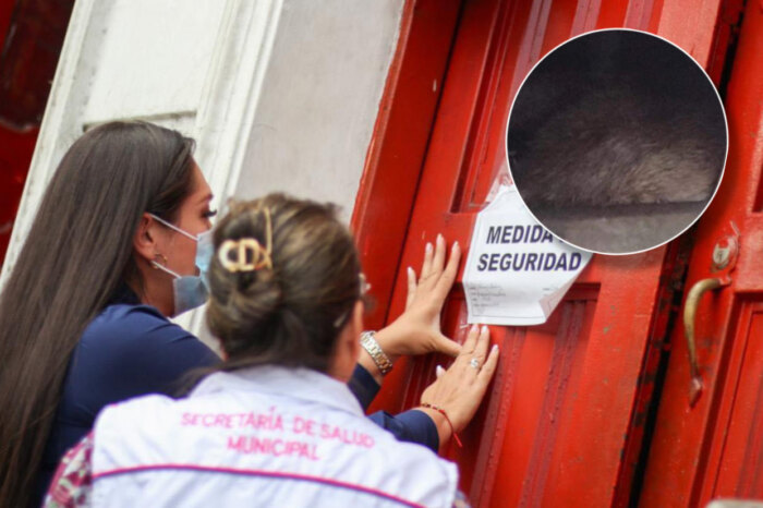 Lee más sobre el artículo Secretaría de Salud de Ibagué encontró una rata de gran tamaño en el horno de un restaurante