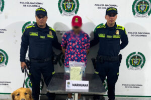 Lee más sobre el artículo Lo sorprendieron con 500 gramos de marihuana en la Terminal de Transporte de Ibagué