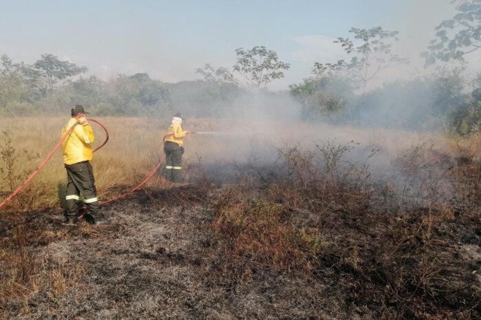 Lee más sobre el artículo Decretan alerta roja en el municipio del Guamo por incendios forestales y altas temperaturas