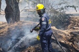 Lee más sobre el artículo En lo que va corrido del año, cerca de 500 incendios forestales se han registrado en Ibagué
