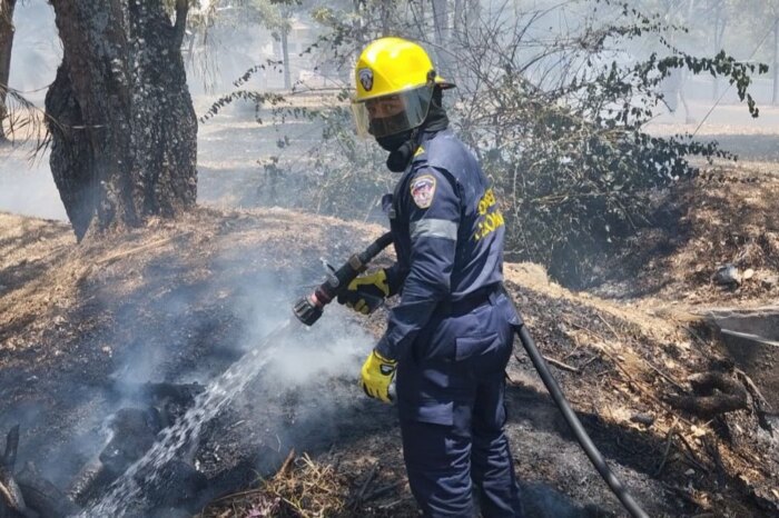 Lee más sobre el artículo En lo que va corrido del año, cerca de 500 incendios forestales se han registrado en Ibagué