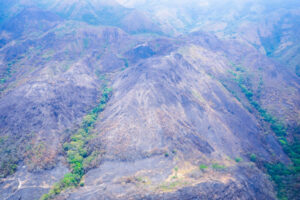 Lee más sobre el artículo Incendios forestales han afectado más de 10.000 hectáreas de bosque seco del Tolima