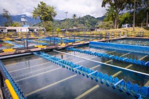 Lee más sobre el artículo ¡Pilas! Este domingo no habrá servicio de agua en la comuna Uno de Ibagué