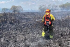 Lee más sobre el artículo Habitantes de calle serían los principales responsables de los incendios forestales en Ibagué