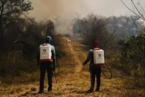 Lee más sobre el artículo Gobernación del Tolima refuerza estrategias ante incendios forestales y escasez de agua