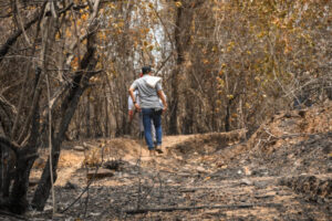 Lee más sobre el artículo Cortolima buscará restaurar zonas afectadas por incendios forestales en Natagaima