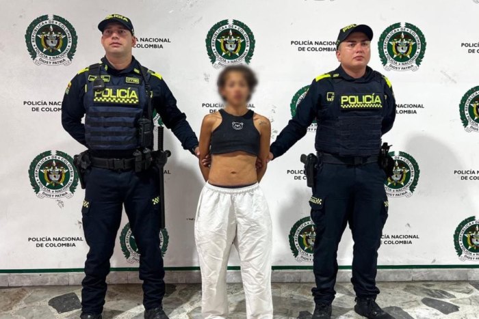Lee más sobre el artículo Mujer de 22 años fue capturada en Ibagué por concierto para delinquir y hurto agravado