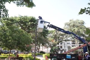 Lee más sobre el artículo ¡Tome nota! Estos son los canales para reportar daños en el alumbrado público de Ibagué