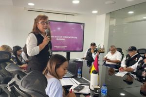 Lee más sobre el artículo Gobernación del Tolima realizó el segundo Comité Interinstitucional Antievasión 2024