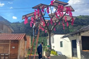 Lee más sobre el artículo ¡Irresponsables! Por conectar un congelador, quemaron Árbol Solar de Juntas