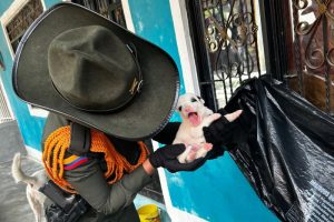 Lee más sobre el artículo Policía Ambiental rescató a ‘Dulce’ y sus nueve cachorros en zona rural de Ibagué