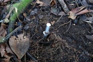 Lee más sobre el artículo Soldados del Ejército Nacional ubicaron mina antipersonal en zona rural del municipio de Dolores