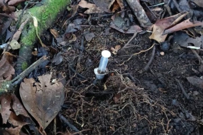 Lee más sobre el artículo Soldados del Ejército Nacional ubicaron mina antipersonal en zona rural del municipio de Dolores