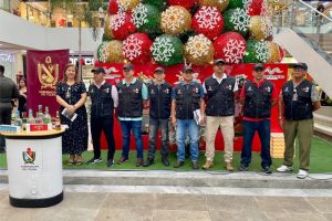 Lee más sobre el artículo Grupo Operativo Anticontrabando del Tolima dio inicio a la ‘Navidad con Legalidad’