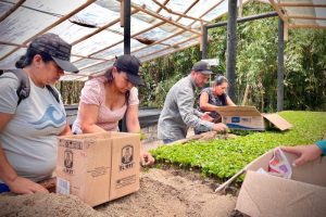 Lee más sobre el artículo Alcaldía de Ibagué entregará material vegetal a productores rurales