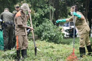 Lee más sobre el artículo Reclusos de la cárcel de Picaleña salieron a embellecer el parque del barrio El Bosque de Ibagué