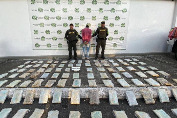 Lee más sobre el artículo Autoridades incautaron cerca de 50 kilogramos de marihuana en la vía Ibagué – Alvarado