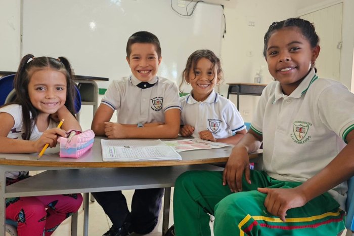 Lee más sobre el artículo ¡Tome nota! Hoy se abren las inscripciones para cupos en colegios oficiales de Ibagué