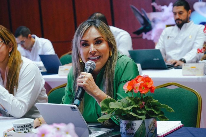 Lee más sobre el artículo Alcaldesa de Ibagué reafirmó su voluntad de trabajar con la gobernadora para obras que beneficien a la ciudad