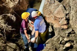 Lee más sobre el artículo IBAL solucionó el daño que afectaba a los usuarios de la comuna Siete