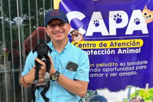 Lee más sobre el artículo Este viernes habrá jornada de adopción de perros y gatos en la comuna Siete de Ibagué