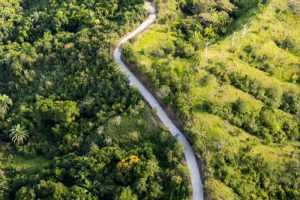 Lee más sobre el artículo Gobernación del Tolima invirtió cerca de $10.000 millones en placas huellas en Ortega