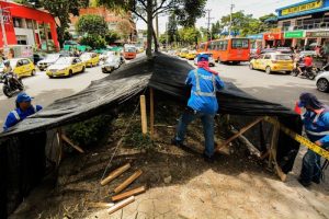 Lee más sobre el artículo Ibagué Limpia inició la protección de los separadores de la carrera Quinta