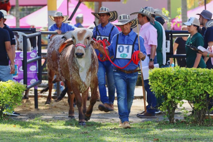 Lee más sobre el artículo Para toda la familia: así será la Feria Agropecuaria de Ibagué en su versión 57