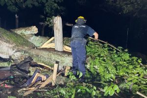 Lee más sobre el artículo Organismos de socorro atendieron emergencias en Ibagué por fuertes lluvias