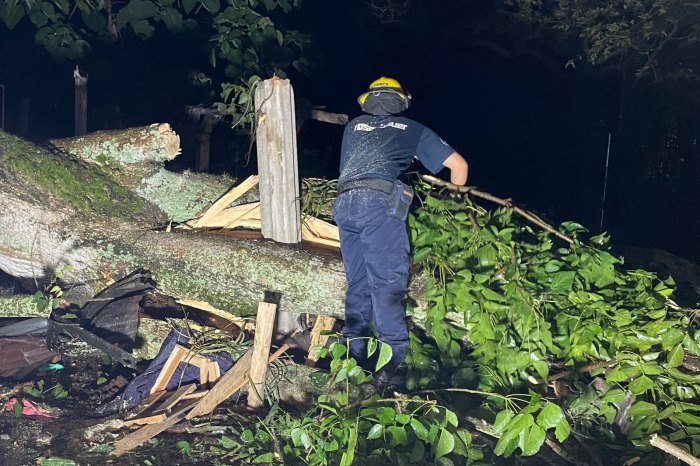 Lee más sobre el artículo Organismos de socorro atendieron emergencias en Ibagué por fuertes lluvias