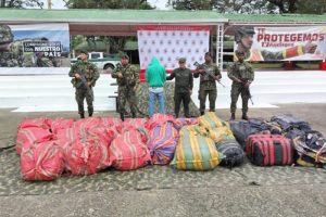 Lee más sobre el artículo Ejército Nacional incautó más de 420 kilos de marihuana en el sur del Tolima