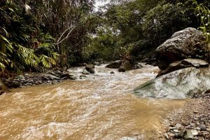 Lee más sobre el artículo Alcaldía e IBAL logran la concesión total para captación de la quebrada Corazón