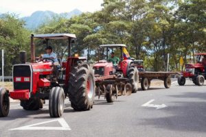 Lee más sobre el artículo Mesa Regional Arrocera en El Espinal buscará levantar el paro y los bloqueos