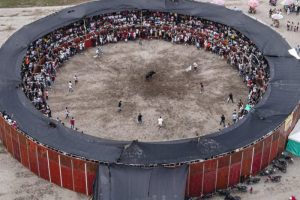 Lee más sobre el artículo Formulan cargos al alcalde de El Guamo por presuntamente autorizar un evento taurino sin cumplir los requisitos de seguridad