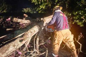 Lee más sobre el artículo Organismos de socorro atendieron 20 emergencias por tormenta eléctrica en Ibagué
