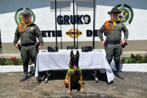 Lee más sobre el artículo Canino ‘Rex’ descubrió 1.500 gramos de marihuana que pretendían ser distribuidos en Ibagué