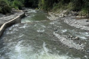 Lee más sobre el artículo IBAL advierte sobre la seria afectación por actividad humana en la cuenca del río Combeima
