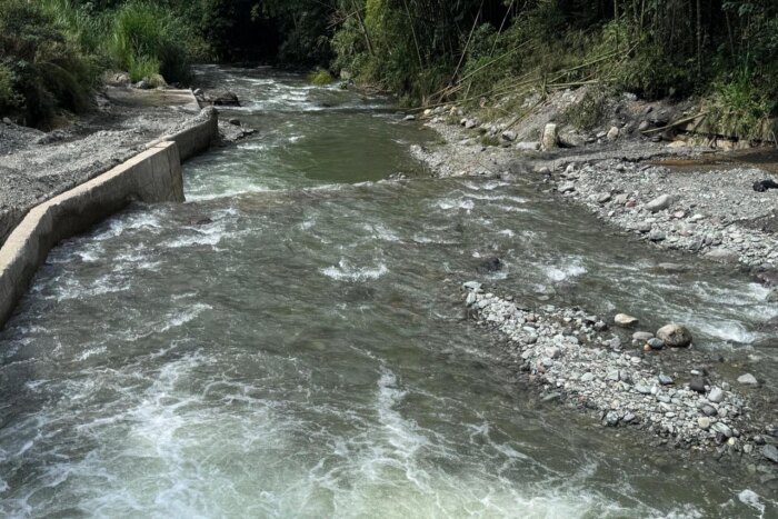 Lee más sobre el artículo IBAL advierte sobre la seria afectación por actividad humana en la cuenca del río Combeima