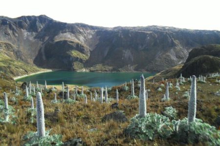 Parque Natural Los Nevados